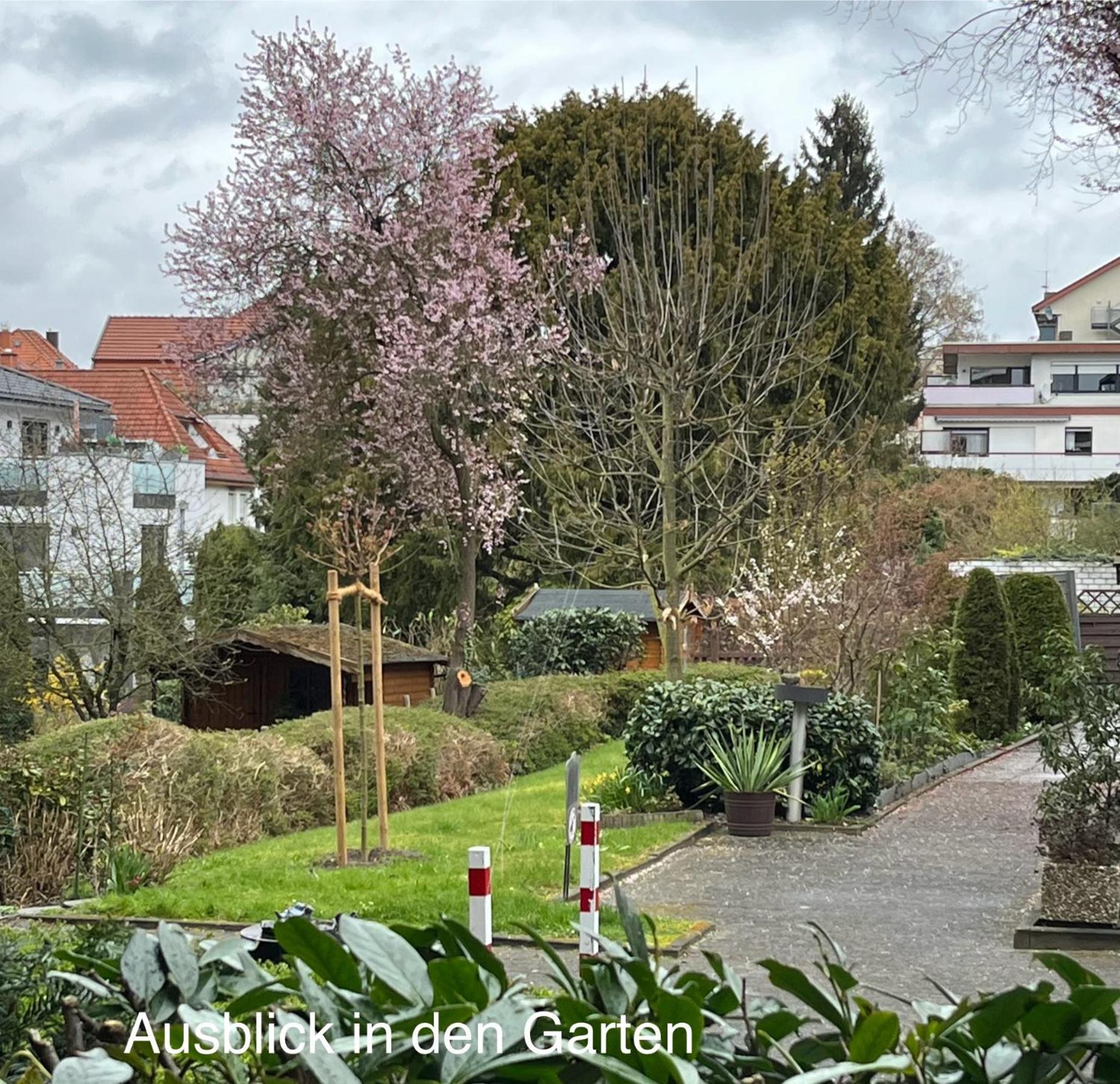 Appartementresidenz Am Kurpark - Ferienwohnungen Mit Pool & Sauna & Garage Bad Salzuflen Bilik gambar